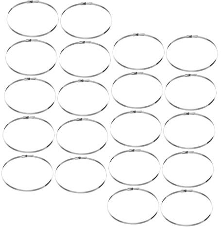 DIYEAH Kit De 200 Bridas De Acero Inoxidable Para Cables De Acero Inoxidable Resistentes Para Colgar Espejos De Seguridad Autoblocantes Plateadas