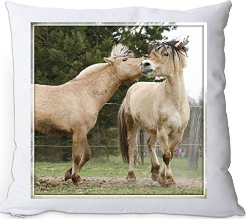 +++ FJORD Fjordpferd Norweger Pferd - Kuschelkissen/KISSEN | PILLOW/Dekokissen - FJO 75