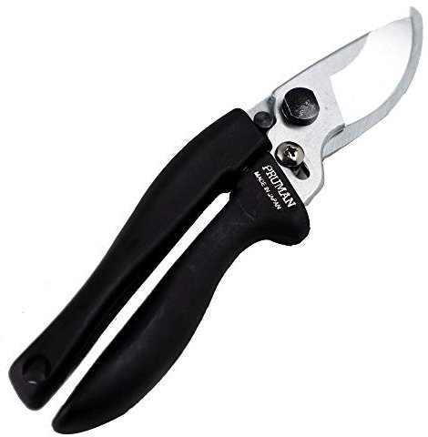 Wazakura Sécateur Professionnel à Lame Franche 195 mm Fabriqué au Japon, Outil de Jardinage Japonais pour Couper des Branches de Fleurs et Plantes, Acier Inoxydable, Bypass Argent