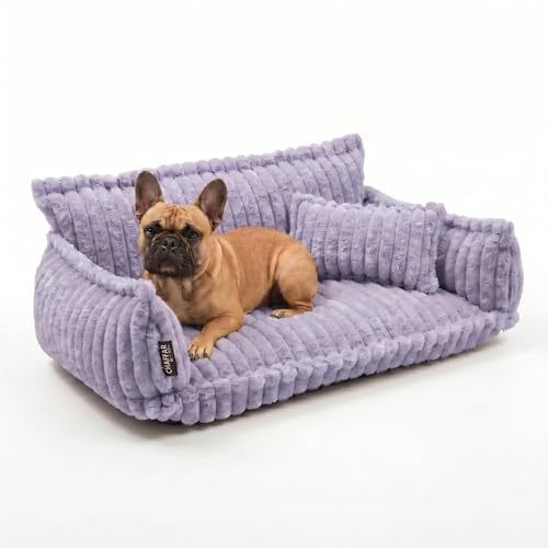 noviclass® Hundesofa Chaffar Hundebett | Orthopädische Matratze | Moderner Stil | Cord-Design Größen (Flieder, L (100cm))