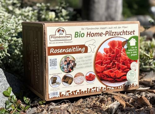 Rosenseitling Bio Home-Pilzzuchtset