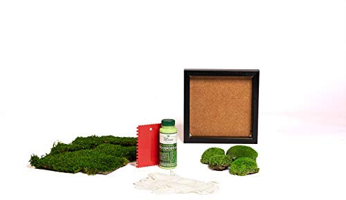DIY Moosbild selber gestalten, Wandbilder selber kleben, Wanddeko selbst herstellen, Wandbild Komplett-Set Bilderrahmen (Schwarz, 25x25 cm)