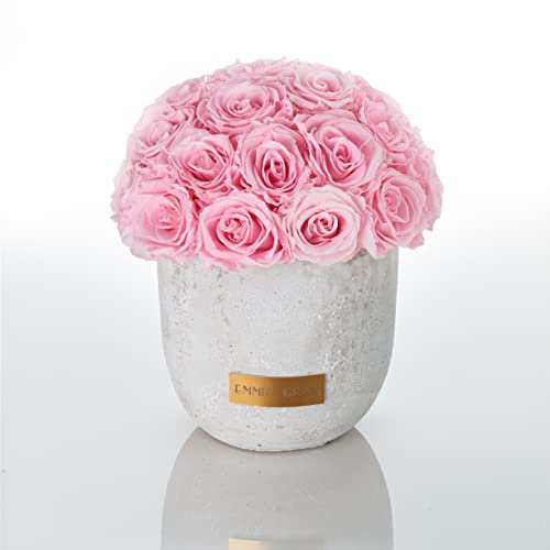 Solid Infinity Collection - Traumhafte Infinity Rosen, 1-3 Jahre haltbare Rosen, Betonvase mit echten, konservierten Rosen, edle Premiumrosen - Größe M (Bridal Pink)