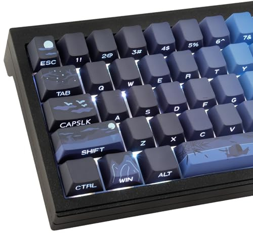 JakeTsai Keycaps, 128 Keys Double Shot Keycap Side Engraved Transparent PBT Keycap Set Cherry Profile Backlit Keycaps for Cherry MX Switch ASIN/ISO Layout Mechanical Keyboard