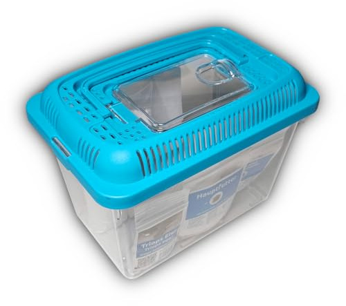 Triops Galaxy – Triops longicaudatus – Set di granchi primordiali Mini – Triops allevamento – uova da triope con sabbia, mangime e istruzioni (50 uova)