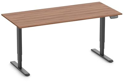 Ergolutions® Primus Speed Schreibtisch - Tischplatte Nussbaum 1800 x 800 x 19 mm, Gestell Schwarz, höhenverstellbar, elektrisch, leise, Memory-Funktion, Kollisionsschutz, 80 kg Traglast