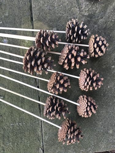 Pine cones on sticks 50+cm