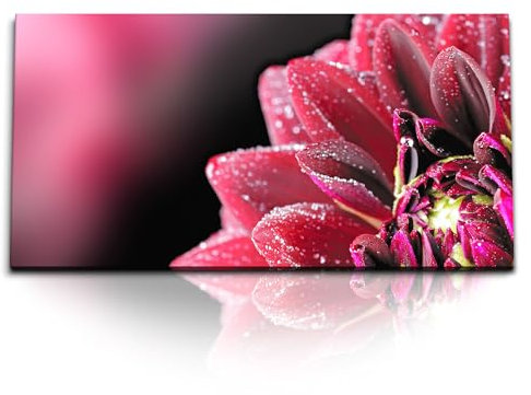 Paul Sinus Kunstdruck Bilder 120x60cm Dahlie Dahlienblüte rote Blume Nahaufnahme Wassertropfen