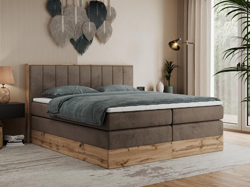 MKS MEBLE King Boxspringbett 180x200 cm mit Bettkasten Eiche, Polsterbett mit Matratze H3 und Topper T25, Bett mit Rahmen in Wotan Eiche und Kopfteil - Braun Velvet - Bellissimo King