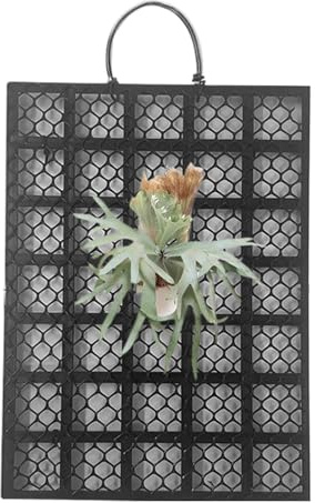 Staghorn Fougère Support Mural | de fougère Staghorn – Platycerium Orchidée Montage Décoration d'intérieur pour Jardin, intérieur, extérieur, Bureaux, dortoirs, Chambre à Coucher, Balcon