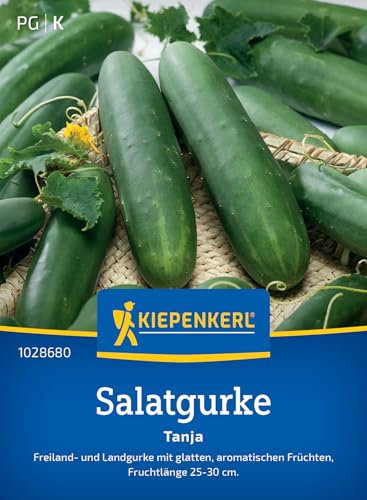 Kiepenkerl Salatgurkensamen Tanja 1028680 - Aromatische Freiland-Gurkensamen für Salat & Hochbeet, bitterfrei & robust, ideal zum pflanzen im Gemüsegarten,