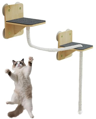 Renchey Estantes para Gatos de Pared,Muebles De Pared para Gatos Árbol De Interior - Juguetes Naturales Posadero Árbol Torre Rascadora Escaleras para Uso En Ventana Hogar Juego Interior Exterior