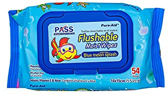 Pure-Aid Blue Melon Splash Moist Flushable Wipes | Toilet Paper Replacement Towelettes | Gentle Enough for Kids | 54 Count (Blue)