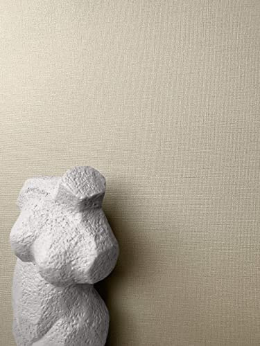 NEWROOM Papier peint Taupe Couleur Unie Intissé - Couleurs Unies Beige Couleur sable Structure Textile