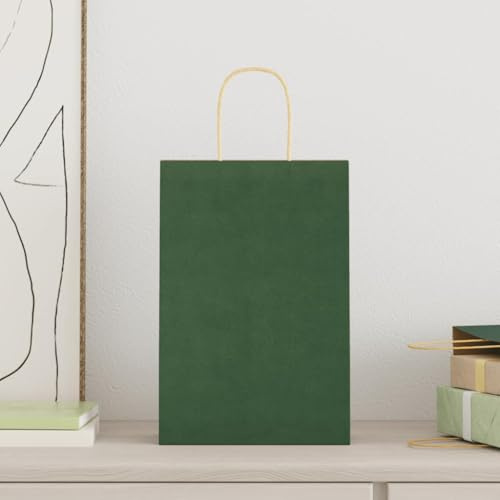 vidaXL Papiertragetaschen 250 Stk., Papiertüten mit Henkeln, Papiertüten, Geschenktüten für Einkaufen Hochzeiten Verpackungen Partys Geburtstag Weihnachten, Grün 21x11x31cm