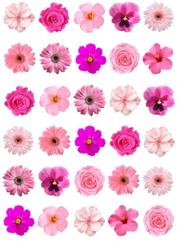 30 x Mixed pink flowers edible wafer rice paper cupcake toppers cake decorations Pansy Rose Hibiscus Hawaiian Daisy Gerbera flower heads Spring Wedding Birthday Party Celebrations petals