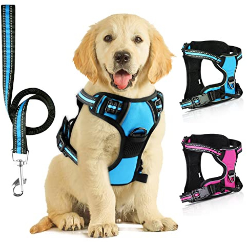SIBOTER Harnais Chien, Harnais Anti Traction pour Chien, Harnais Chien Anti Traction Réfléchissant, avec Laisse pour Chien, pour Entraînement en Plein Air, Bleu, M