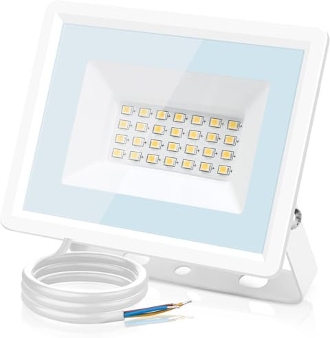 Aigostar Faretto LED da Esterno 30W,2510LM,Faretti LED Esterno Naturale 4000K,Luce di Sicurezza Impermeabile IP65,Per Giardino,Cortile,Garage,Corridoio