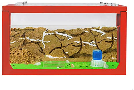 AntHouse - Ameisenfarm mit Ameisen Starterset | 3D Ameisenfarm 20x10x10 cm Rot | Ameisen inklusive
