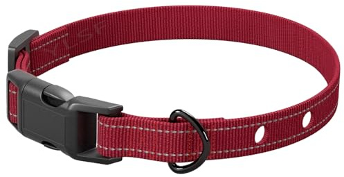 EIN hundehalsband mit Zwei Loch in einem elektrozaun, an dem man gewöhnt ist, braucht einen um einen Halsband durch elektronische Ringe zu ersetzen, die mit Fast Allen Marken verbunden sind