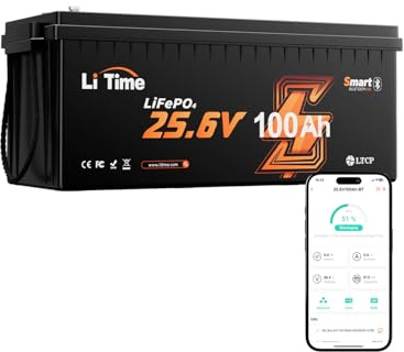 LiTime Batteria LiFePO4 24V 100Ah Bluetooth per Motori da Traina e Barche | Max 15000 Cicli, 2560Wh, BMS 100 A, Protezione Basse Temperature, Leggera, IP65, Batteria Litio 24V per Accumulo Domestico