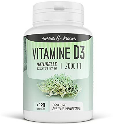 Vitamine D3 Naturelle et Végétale - Extrait de Lichen - 2000ui - 120 Comprimés - Herbes et Plantes