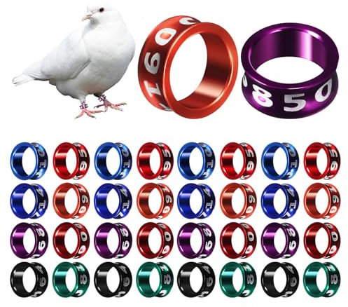 POPETPOP 50er-Pack Metall-vogelbein-bänder Für Brieftauben Vögel Beinbänder Glatt Zufällige Auswahl