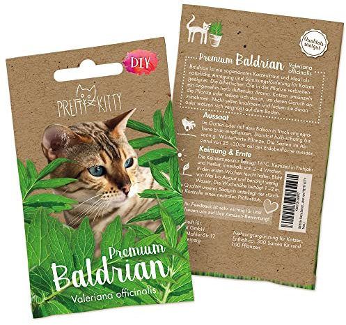 Baldrian Samen: Premium Baldrian Samen für Katzen für ca. 50 Baldrian Pflanzen Winterhart – Ideal für Katzenspielzeug, Katzen Futter und Baldriankissen Katze – Pflanzen Katzen von PRETTY KITTY
