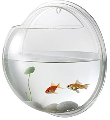 POPETPOP Wandmontiertes Fischglas – Hängendes Aquarium, Acryl, transparent, rund, Blumentopf, Vase, Dekoration mit Wasserpflanze in zufälliger Farbe, 17 x 17 x 8 cm