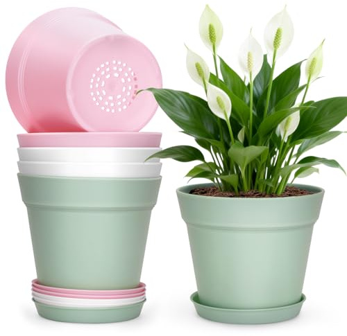 KINGLAKE 6Pcs Plastic Plant Pots Indoor Outdoor, 6 Inch/15cm Colored Plant Pots Modern Flower Pot for Office Desk House Plants with Drainage Holes and Trays