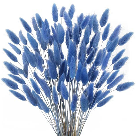 SLFYEE 120 Pcs Trockenblumen Klein Pampasgras Natürliche Getrocknet Blumen Getrocknetes Schilfgras Klein für Hochzeit Hause Party Wedding Büro Fotografie Vase Deko Blau