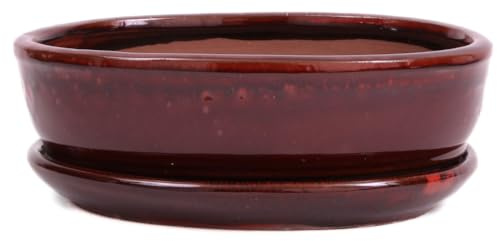 Bonsai-Shopping Bonsai - Schale oval 22 x 16.5 x 6.5 cm, rotbraun, mit Untersetzer 23206