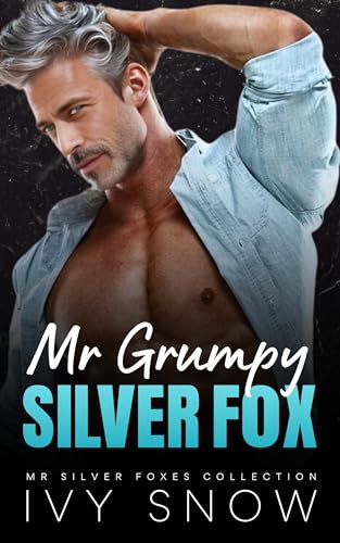 Mr Grumpy Silver Fox: An Enemies to Lovers Surprise Baby Romance (Mr Silver Foxes Collection)