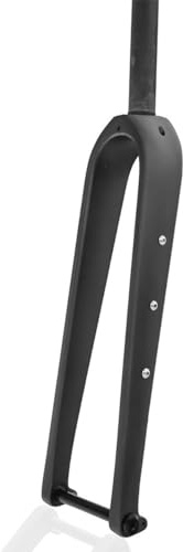 HZXQCVB Carbonfaser Rennrad Starre Gabel 700C Steckachse 12x100mm Scheibenbremse Vorderradgabel Für Gravelbike 1-1/8'' Gerade/konische Rohre(Matte Black,Straight Tube)