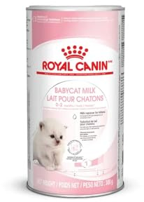Husdjur katt snacks foder kattmat kattmat kungsmat canin babykatt mjölk 300 g-1-pack