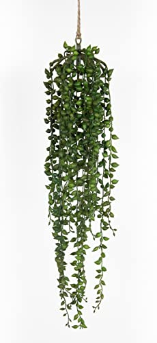 Seidenblumen Roß Senecio-Hänger 55cm / 90cm GA Kunstpflanzen künstliche Pflanzen Kreuzkraut Greiskraut