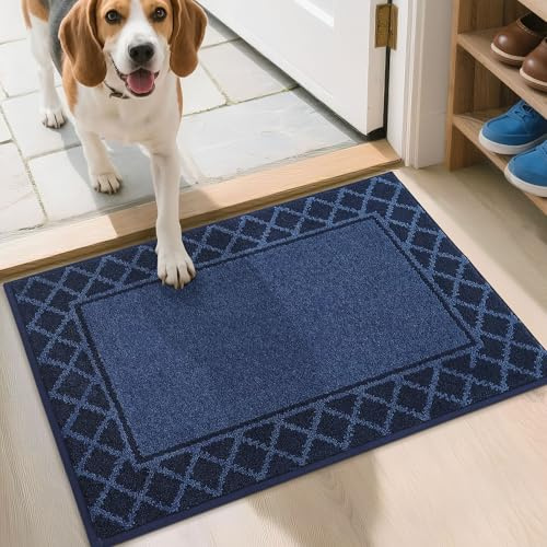 BEQHAUSE Tapis Entree Interieur, Tapis d'Entrée Intérieur 50 * 80cm, Animaux Acceptés, Lavable en Machine, Antidérapant, Convient Couloirs, Corridors et Salons, Bleu