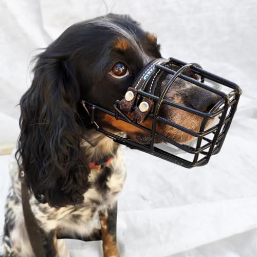 SYORIX Muselière en métal pour chien (taille 32) - Panier en fil résistant pour Doberman et berger allemand - Respirant, sûr et sûr