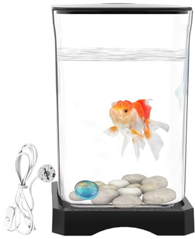 acquario Betta - Acquario da tavolo, piccola a LED, mini supporto per pesci con foro per mangime per gamberetti, granchi, piccoli oggetti acquatici, decorazione da tavolo per