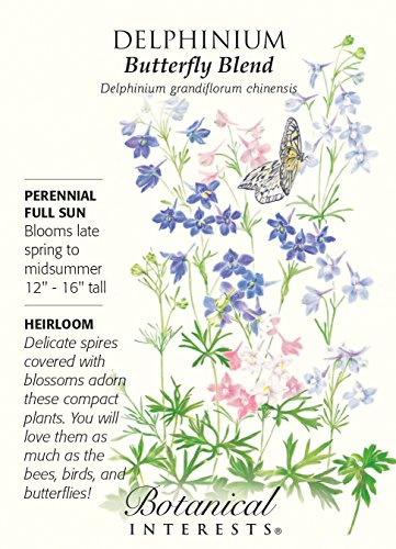 Semi di Delphinium della miscela di farfalle - 250 mg