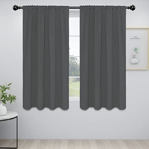 Easy-Going Rideaux occultants avec Passe-Tringle pour Chambre à Coucher et Salon, Rideaux de fenêtre à Isolation Thermique et réduction du Bruit, 2 Panneaux (106,7 x 160 cm, Gris)