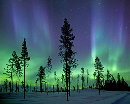Wall Rogues WR50512 Aurora Borealis/Northern Lights - Paste The Wall Wallpaper Mural - 300cm x 240cm - Blue