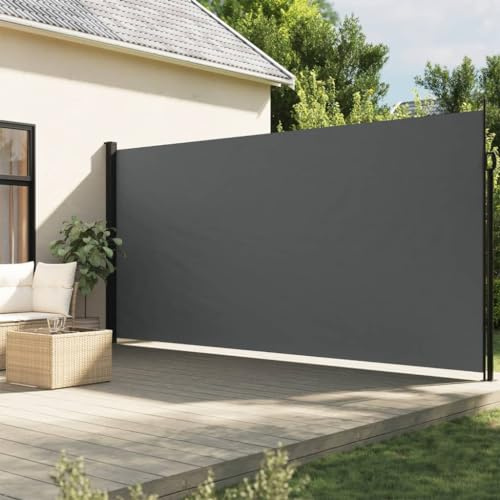 IKAYAA Toldo Lateral Retráctil, Pantalla Enrollable Mampara de Privacidad, Protector Solar a Prueba de Viento, para Balcón, Jardin, 200 x 300 cm Antracita