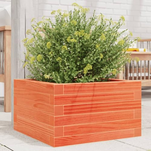 Iiaky Jardinière Cire Marron 40x40x23 cm Bois de pin Massif,Jardiniere sur Pieds,Bac avec Treillis,Jardiniere Terrasse