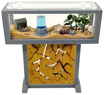 Kit de hormiguero T-Mini, Hábitat para hormigas de arena natural, 15x5x16 cm, con 20-30 hormigas incluidas