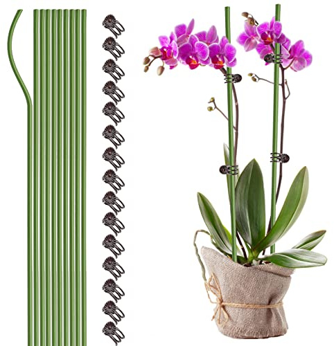 40 cm Gartenpflanzenstützstäbe mit Clips, Gartenpflanzenstützen, Pflanzenpfähle, OrchideenStützstäbe und Clips, PflanzenstützenSet, Pflanzenclips und Heringe für Garten, Orchideen, Blumen, kleine
