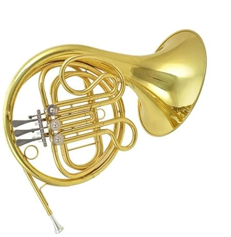 Waldhorn für Anfänger Korpus Aus Gelbmessing Mit Goldlackierung, F-Ton, 4 Klappen, Doppeltes Waldhorn Mit Hartschalenkoffer