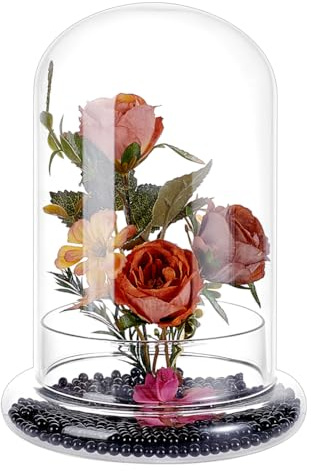 PH PandaHall Cloche en Verre pour Présentation 14x21.5cm Couverture en Dôme Cloche Terrarium Transparent avec Socle Cloches à Confiture Terrarium pour Cactus Succulentes Dessus de Table