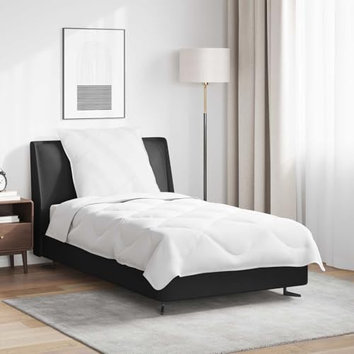 RJPLMFV Duo Couette Oreiller Blanc Microfibre 2 Pieces
