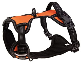 Floxik Hundegeschirr orange S | Anti Zug Brustgeschirr reflektierend & gepolstert mit Haltegriff für mittelgroße und große Hunde | Auch als Welpengeschirr geeignet
